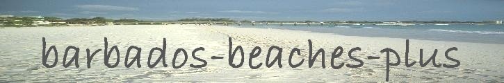 logo for barbados-beaches-plus.com